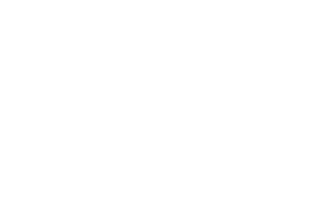 Alex Bravo
